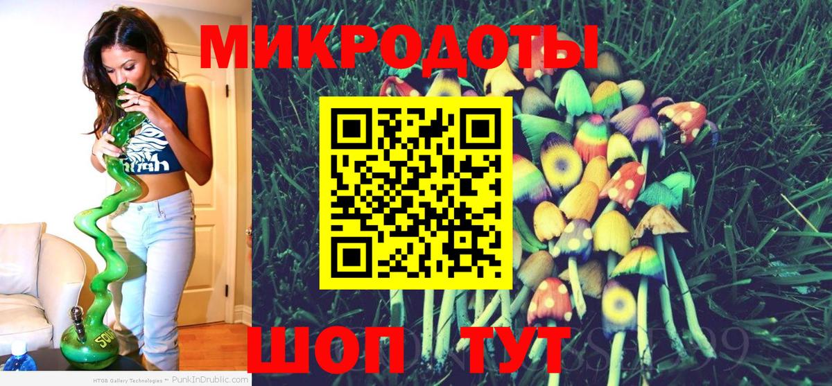 Галлюциногенные грибы Psilocybine cubensis Назрань