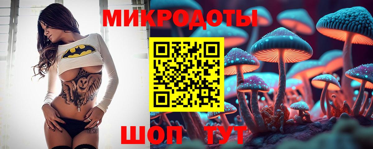 Назрань  Псилоцибиновые грибы прущие грибы  Вход с VPN 